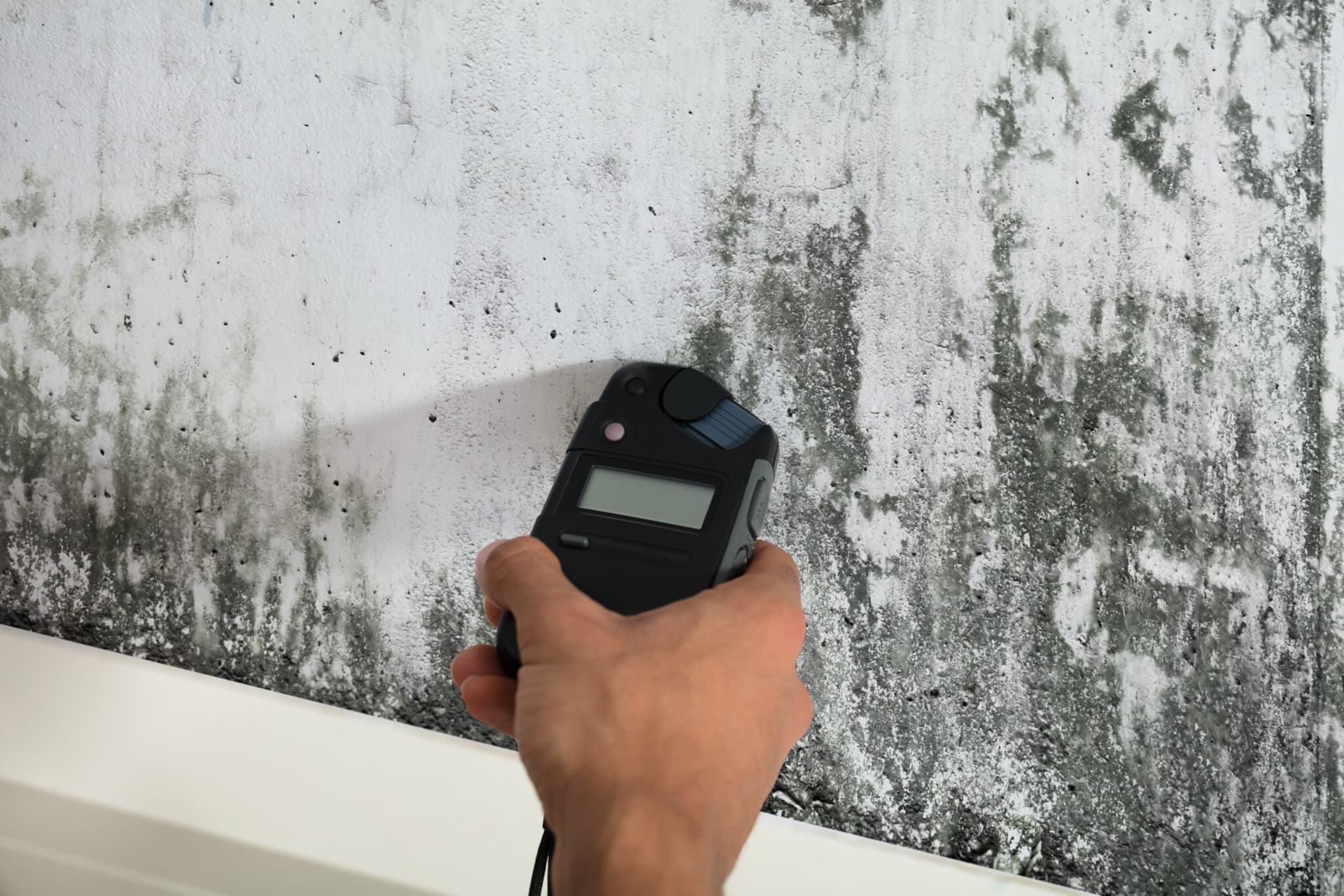 Limited Mold Inspection